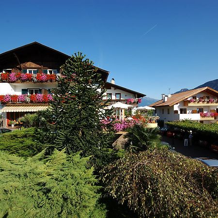 Hotel & Residenz Traubenheim Nalles Εξωτερικό φωτογραφία