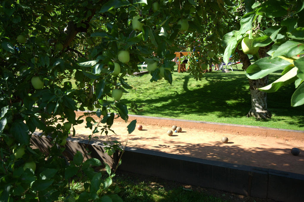 Hotel & Residenz Traubenheim Nalles Εξωτερικό φωτογραφία