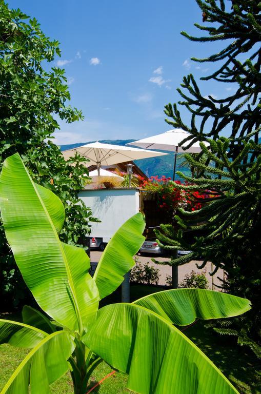 Hotel & Residenz Traubenheim Nalles Εξωτερικό φωτογραφία